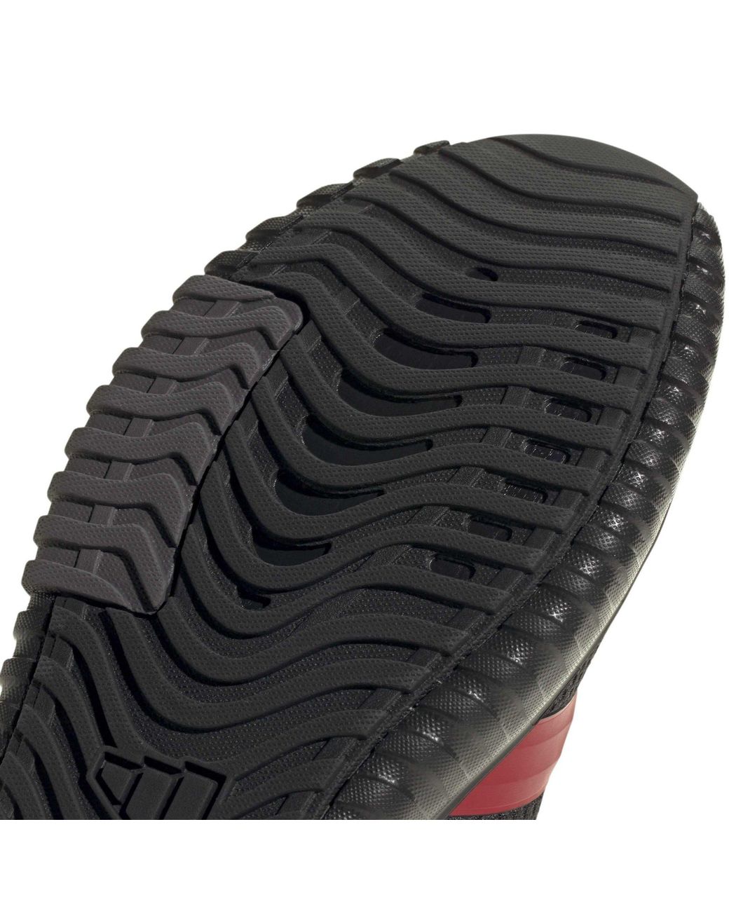 Adidas Blue Kaptir 4.0 Shoes for men