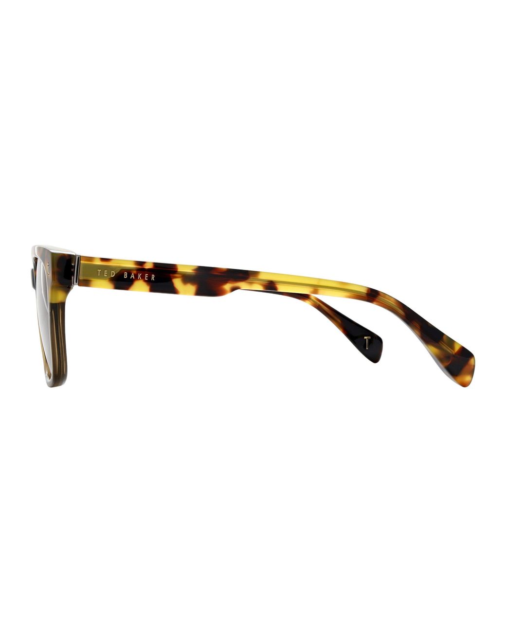 Ted Baker Brown Elio Square Sunglasses for men