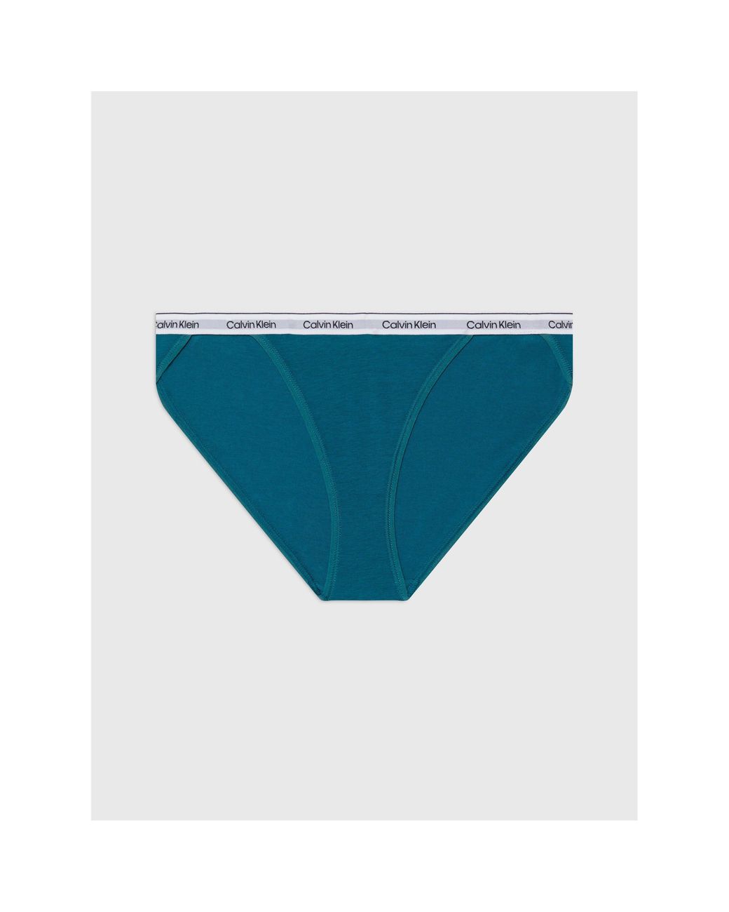 Calvin Klein Blue Briefs