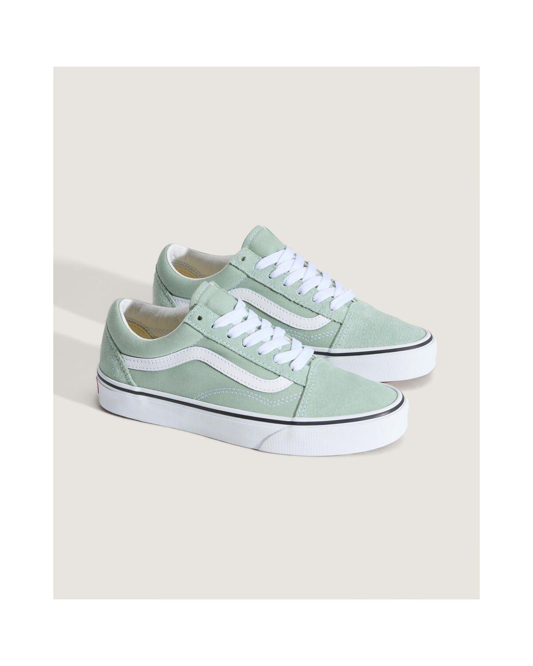 Vans Blue Old Skool Shoes