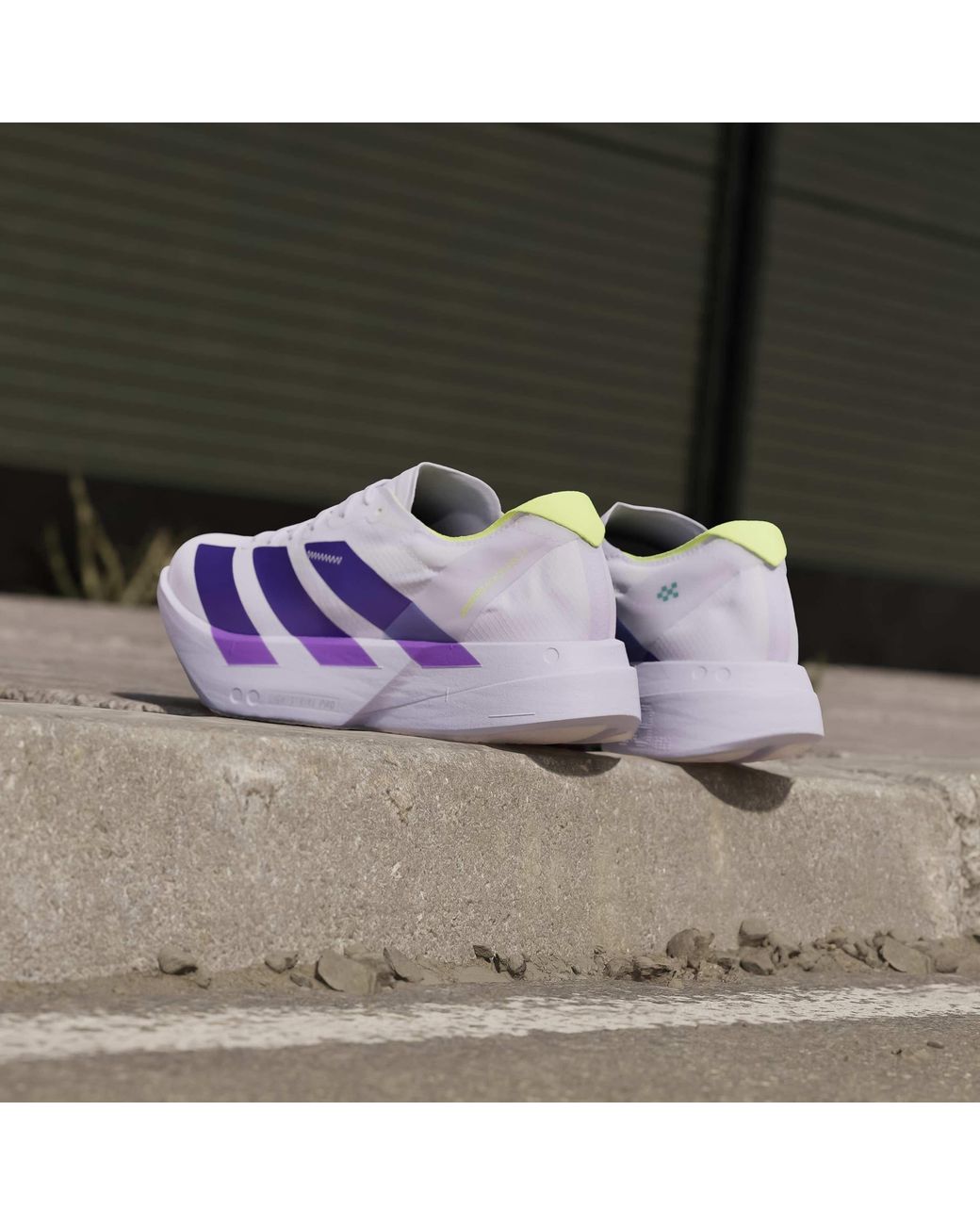 Adidas Purple Adios Pro 4 Road Running Shoes