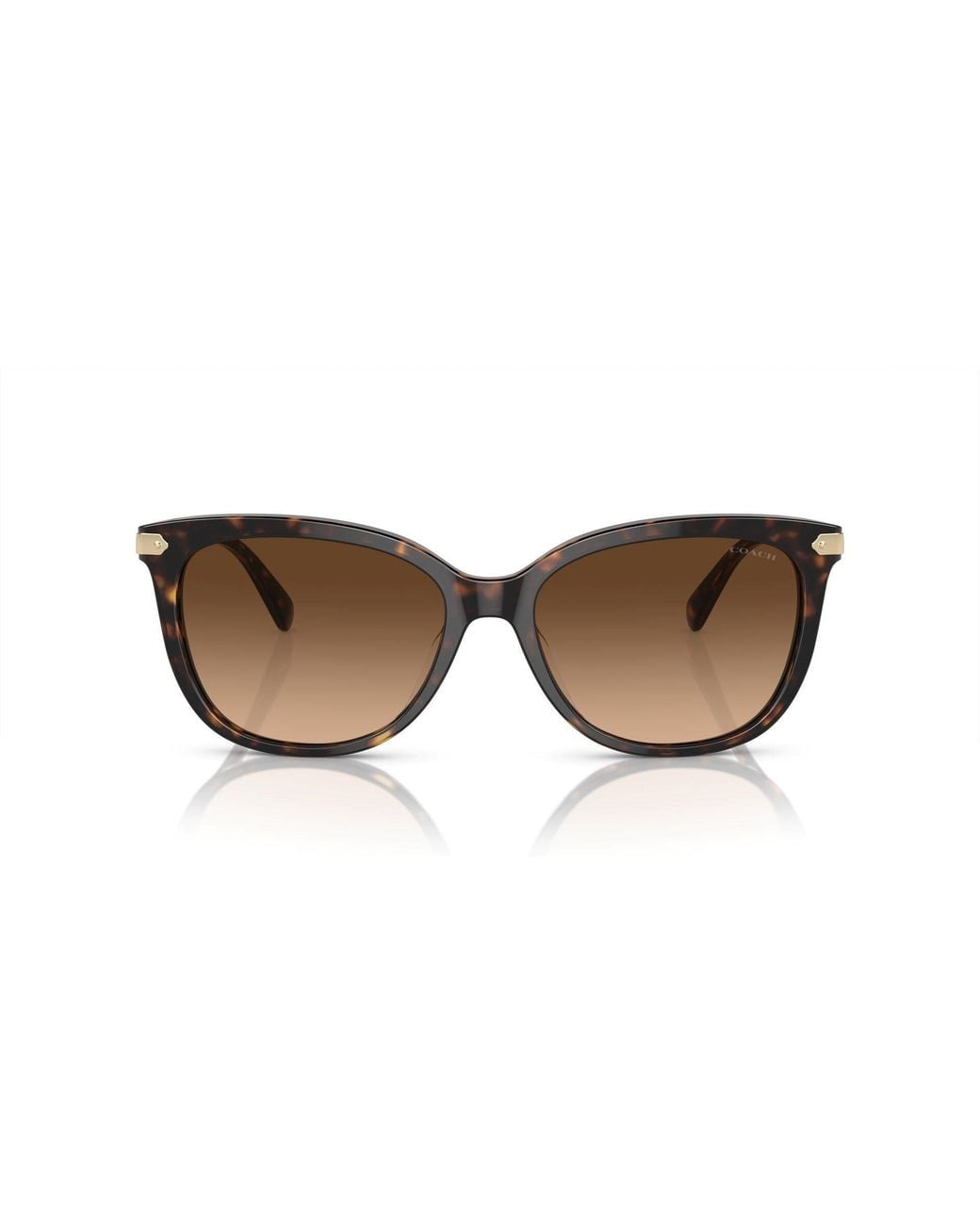 COACH Brown Round Sunglasses