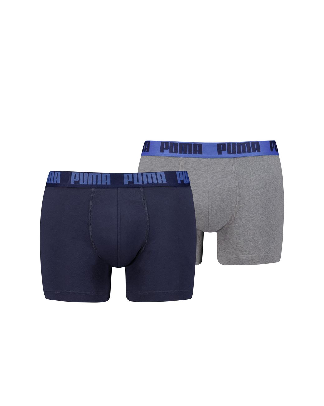 PUMA Blue Everyday Bs for men