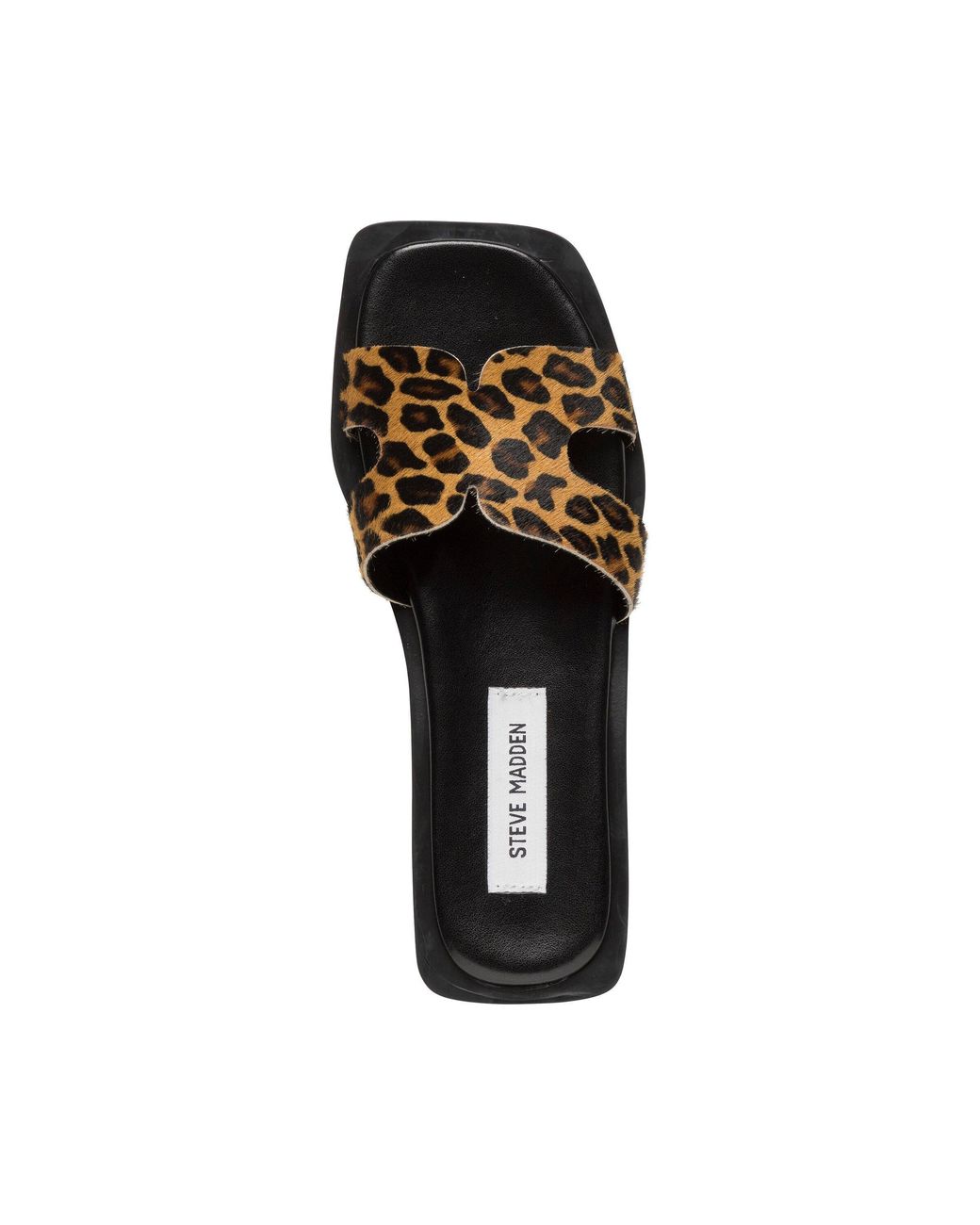 Steve Madden Brown Flat Sandals