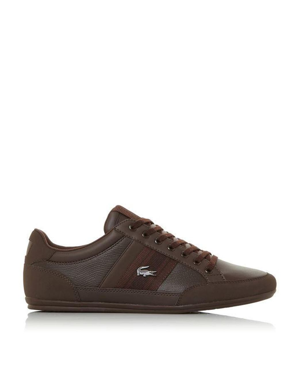 Lacoste chaymon brown discount