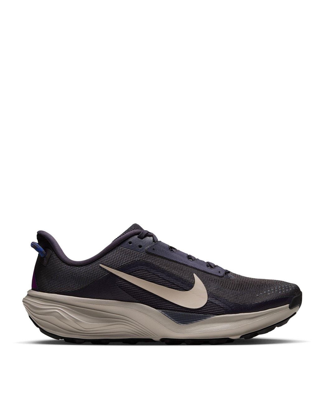 Nike Blue Pegaus 42S Running Shoes for men