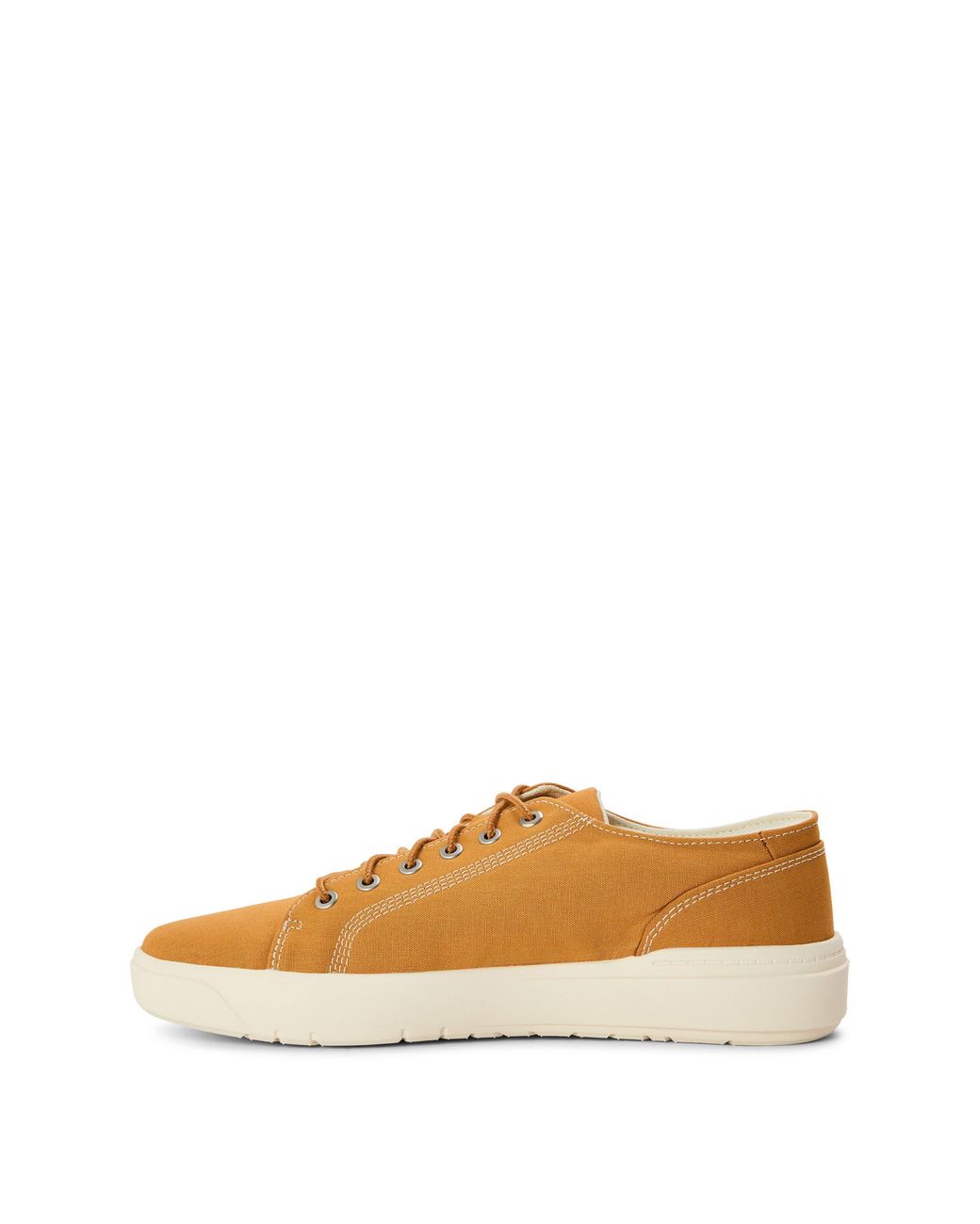 Timberland Brown Seneca Bay Low Top Canvas Sneakers for men