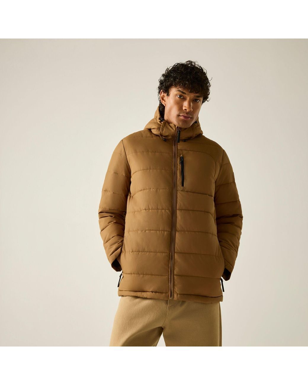 Regatta Brown Frankie Padded Jacket for men