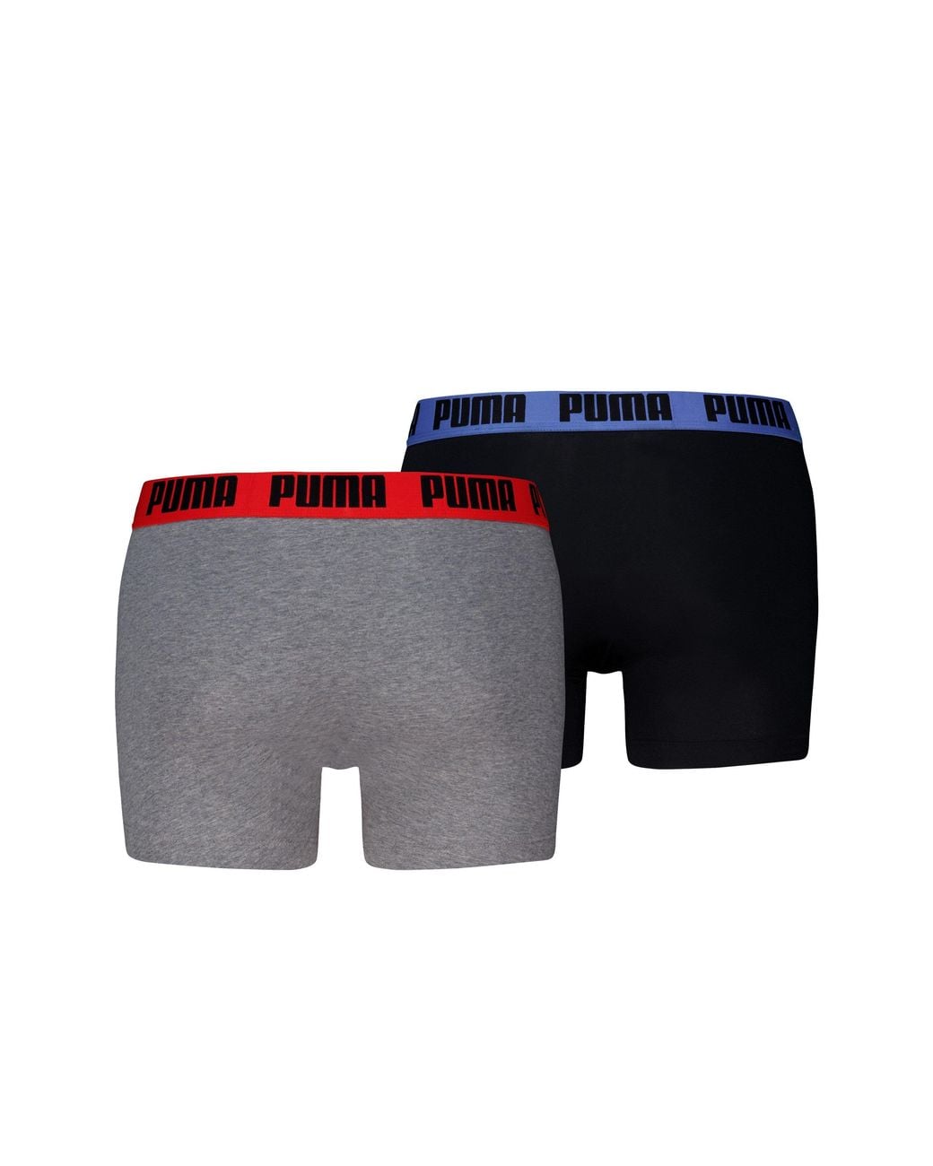 PUMA Gray Everyday Bs for men