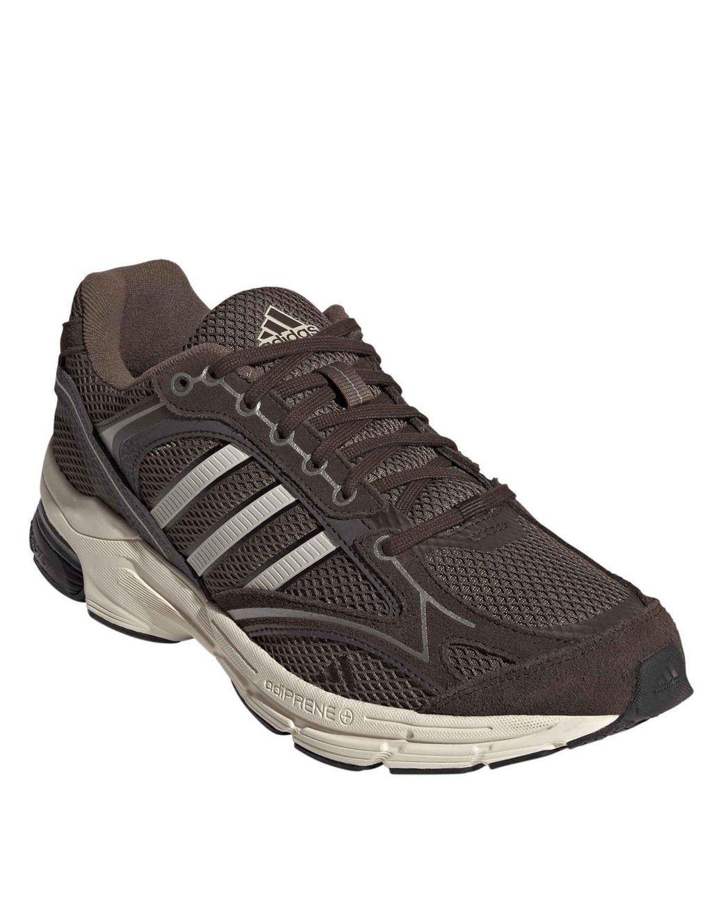 Adidas Brown Spiritain 2000 Trainers