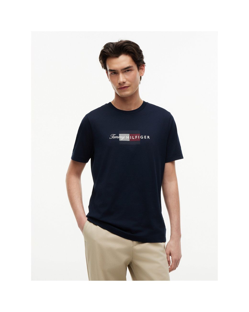 Tommy Hilfiger Blue T-Shirt for men