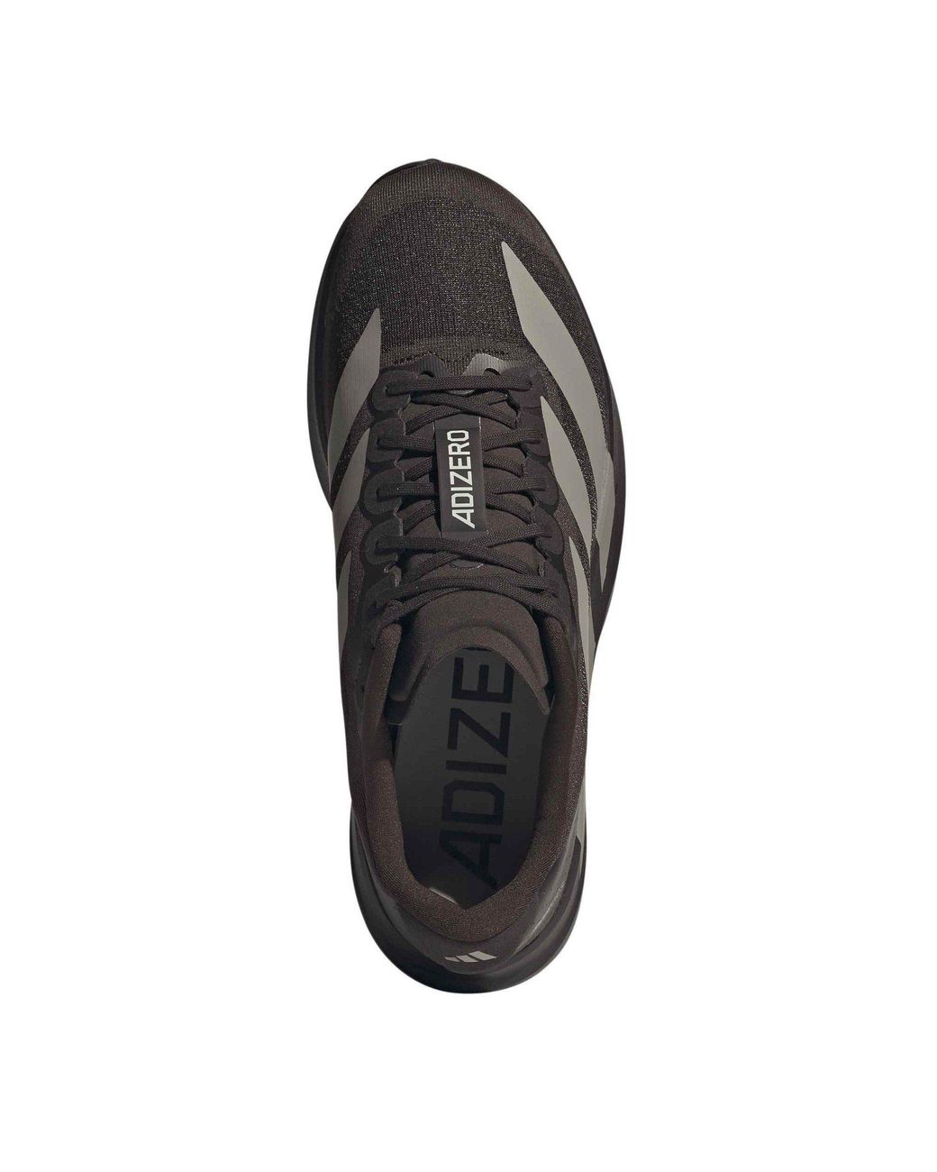 Adidas Brown Adizero Evo Sl Shoes for men