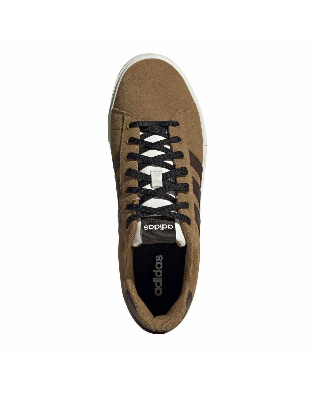 Adidas Brown Daily 4.0 Court Trainers for men