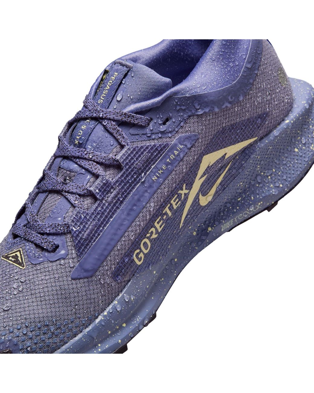 Nike Blue Pegasus Trail 5 Gore-Tex Running Shoes