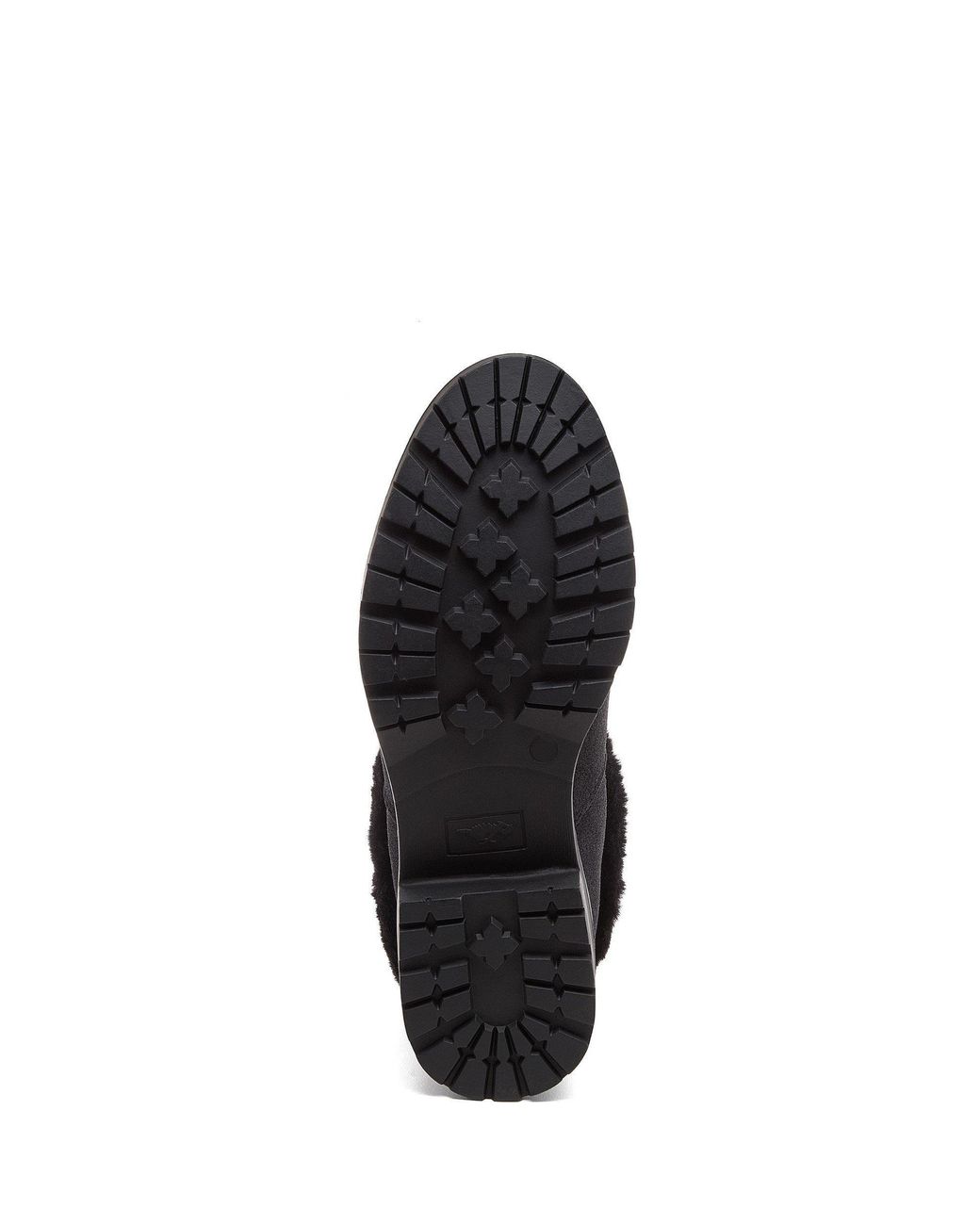 Rocket Dog Black Niche Aurora