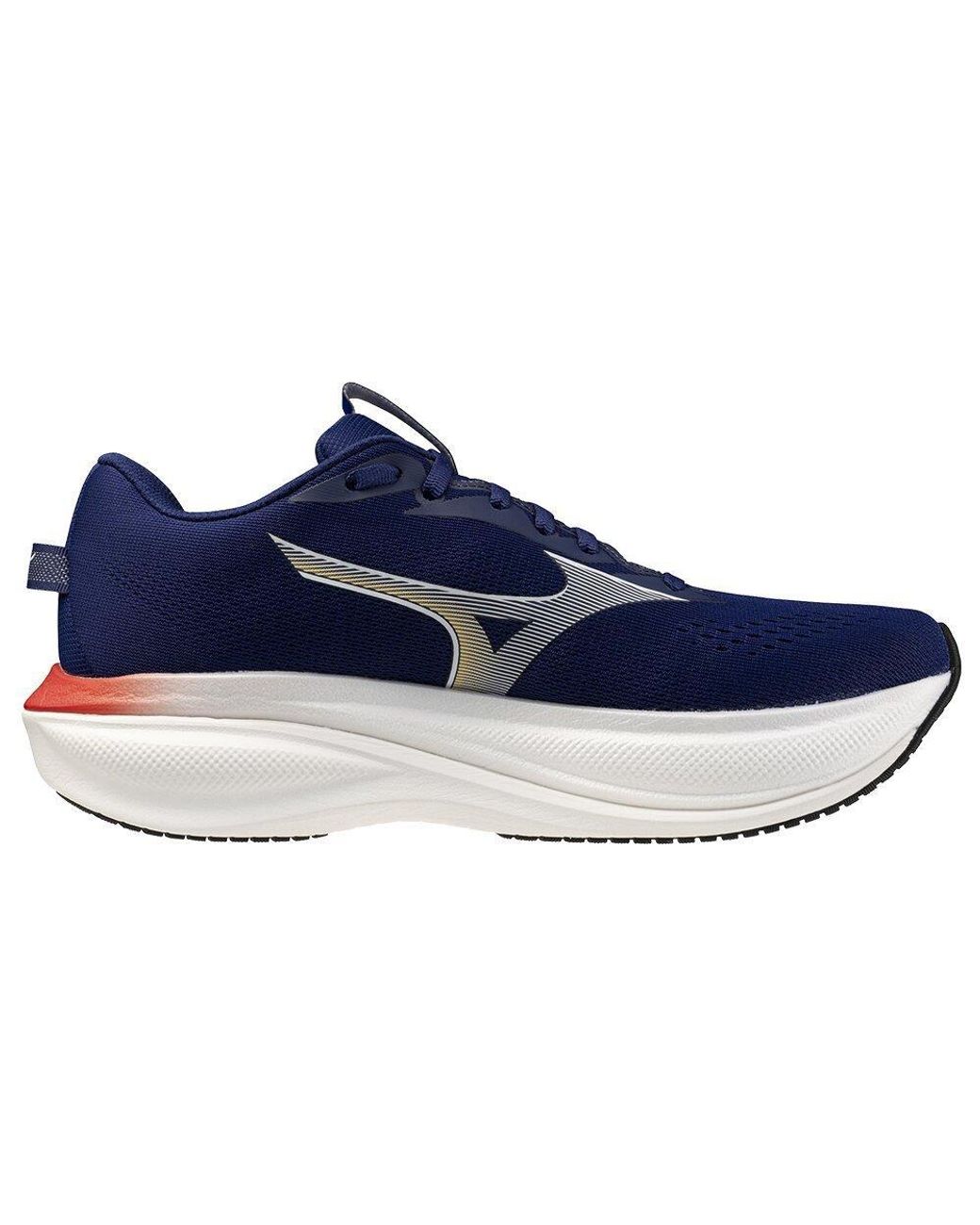 Mizuno Blue Wave Rider 30 Road Running Shoes for men