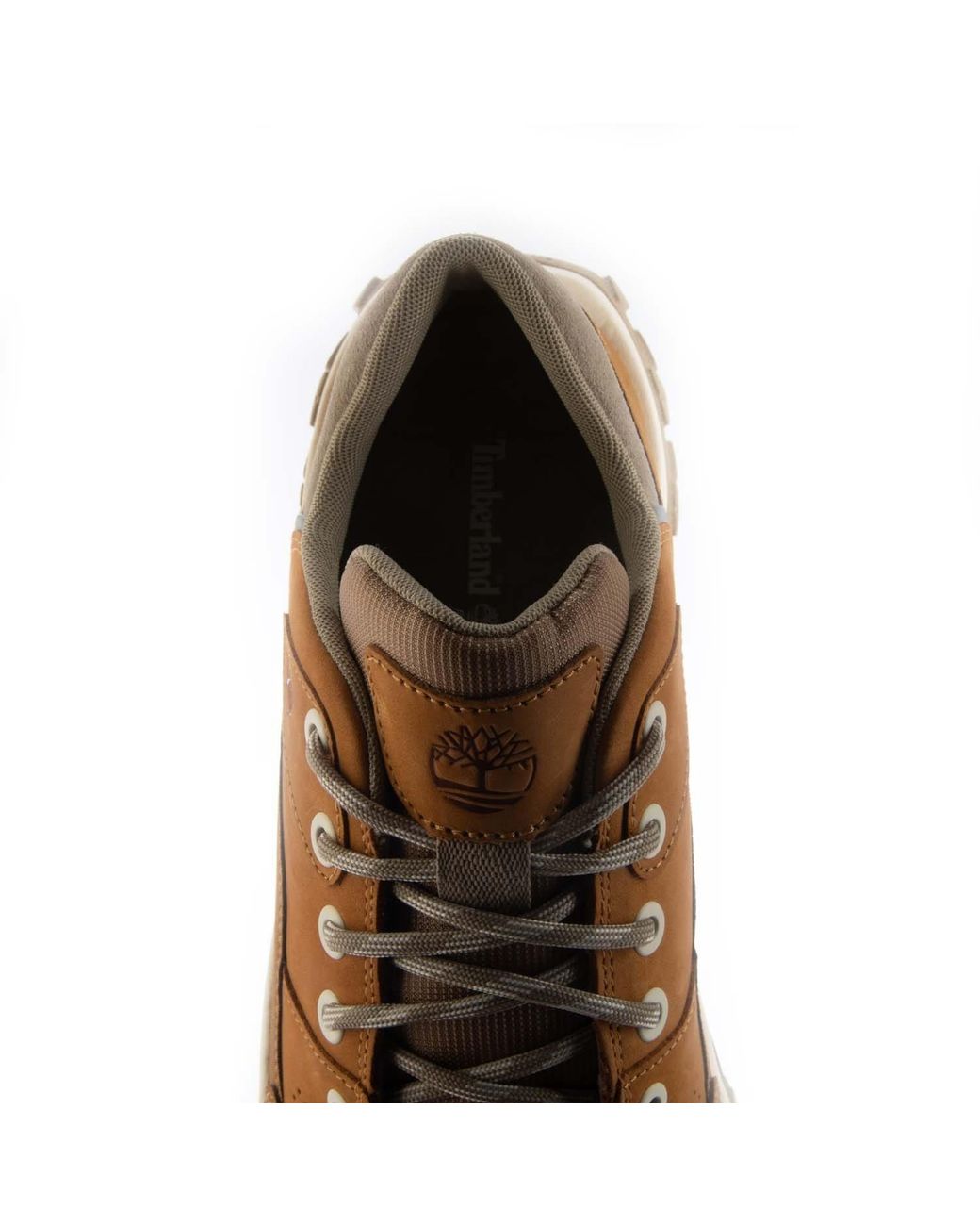 Timberland Brown Greenstride Motion 6 Trainers for men