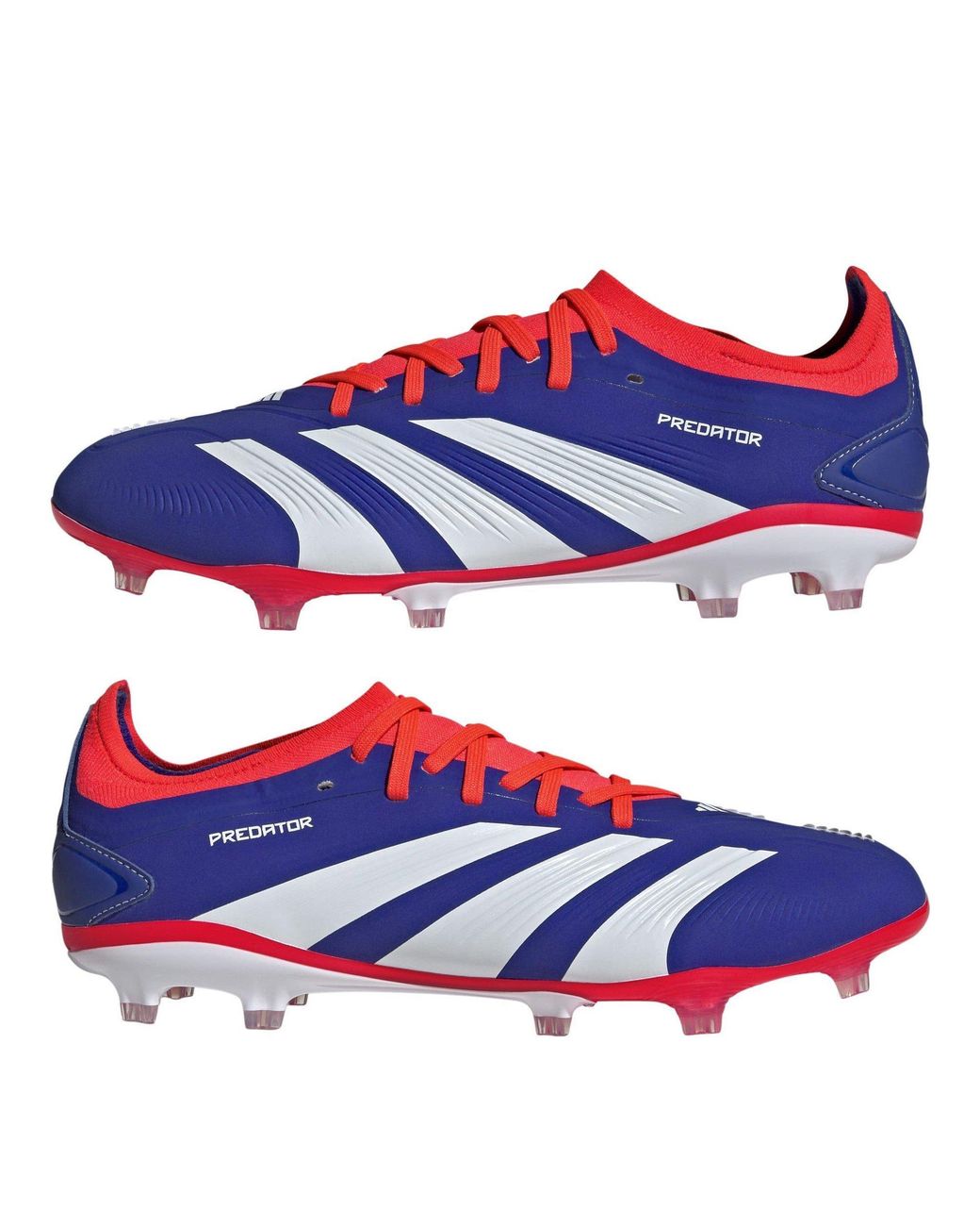 Adidas Blue Predator 24 Pro Firm Ground Boots for men