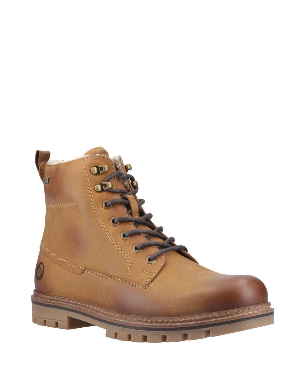 Cotswold Brown Clanfield Waterproof Leather Ankle Boots for men