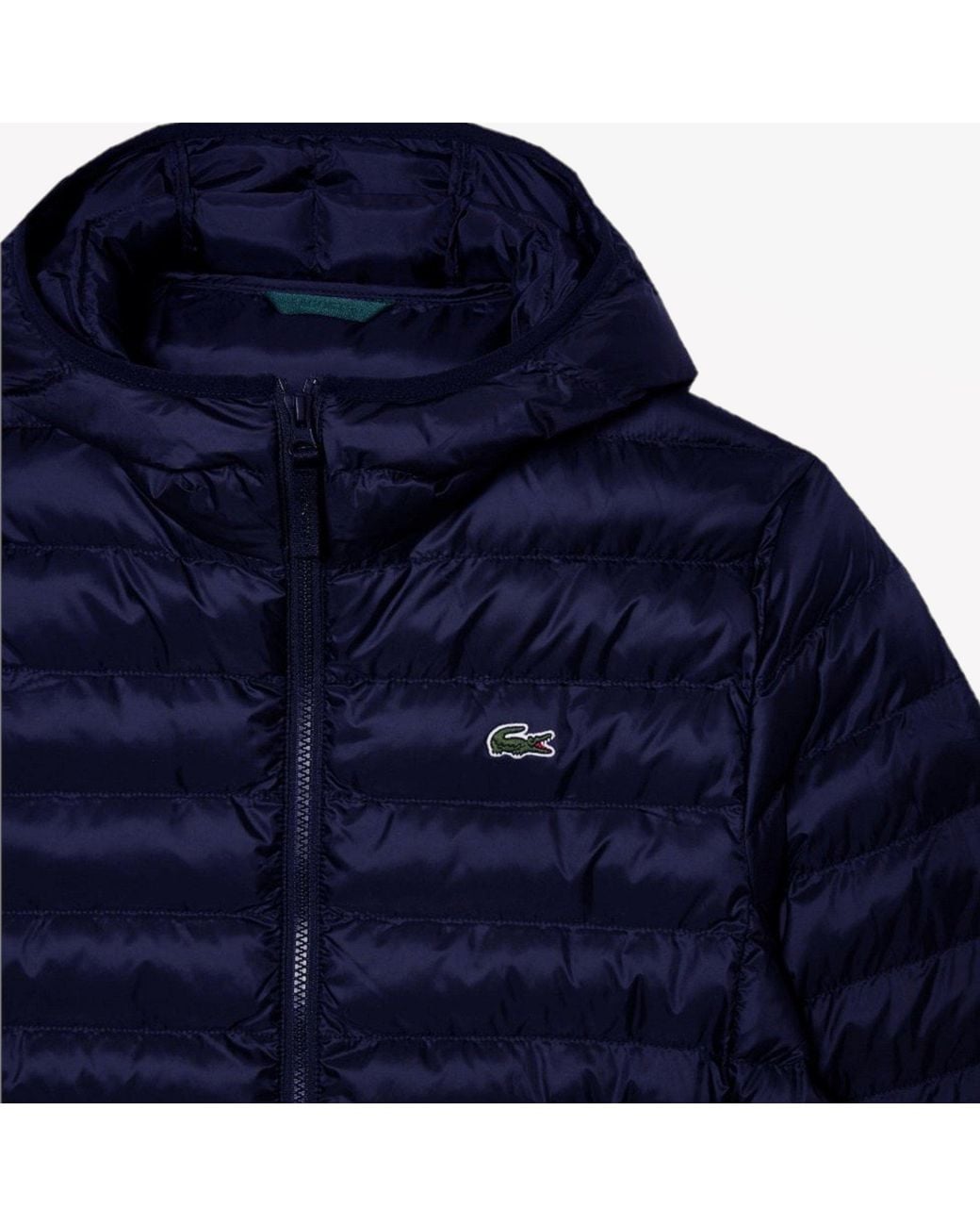 Lacoste Blue Slim Fit Short Puffer Jacket for men