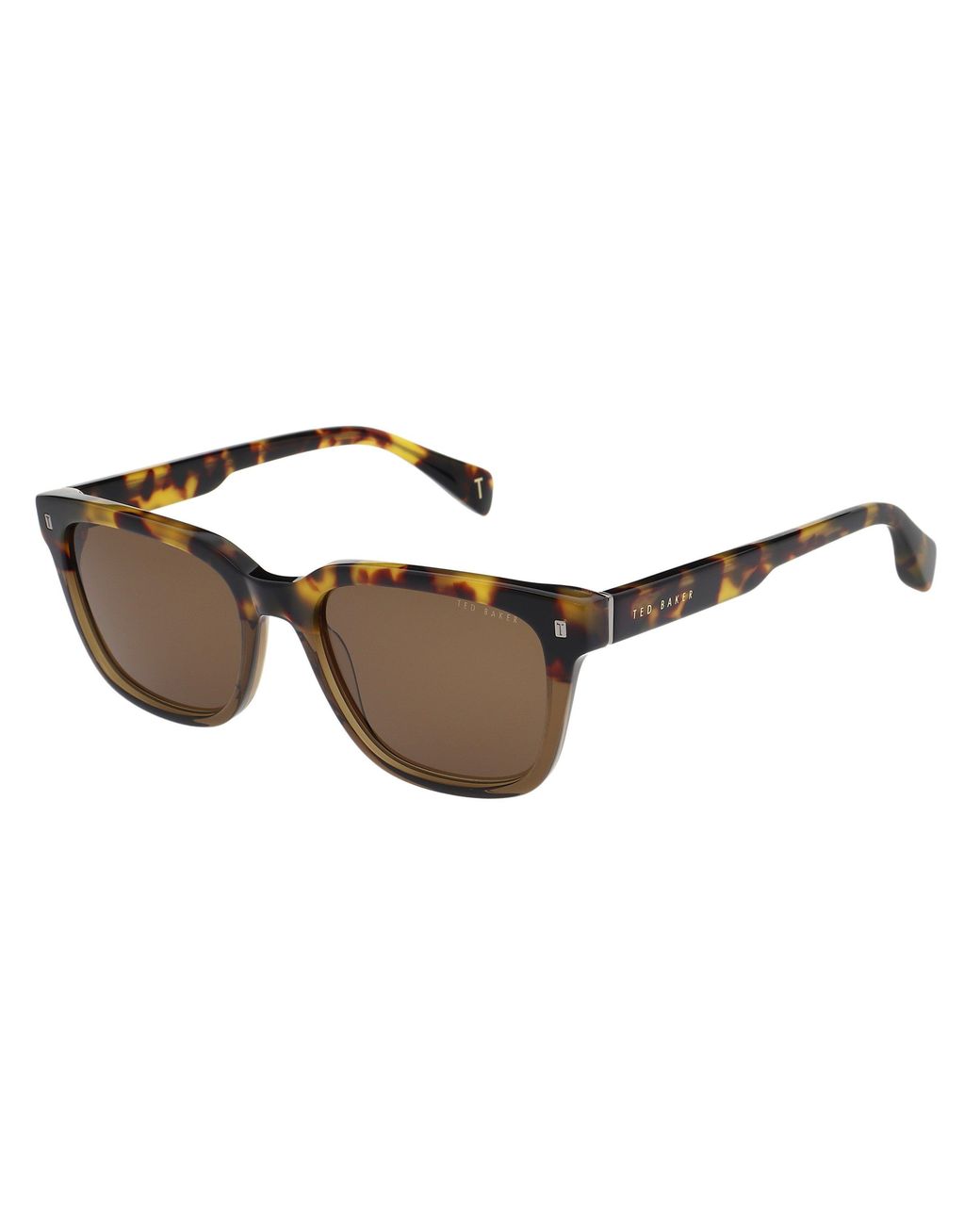 Ted Baker Brown Elio Square Sunglasses for men