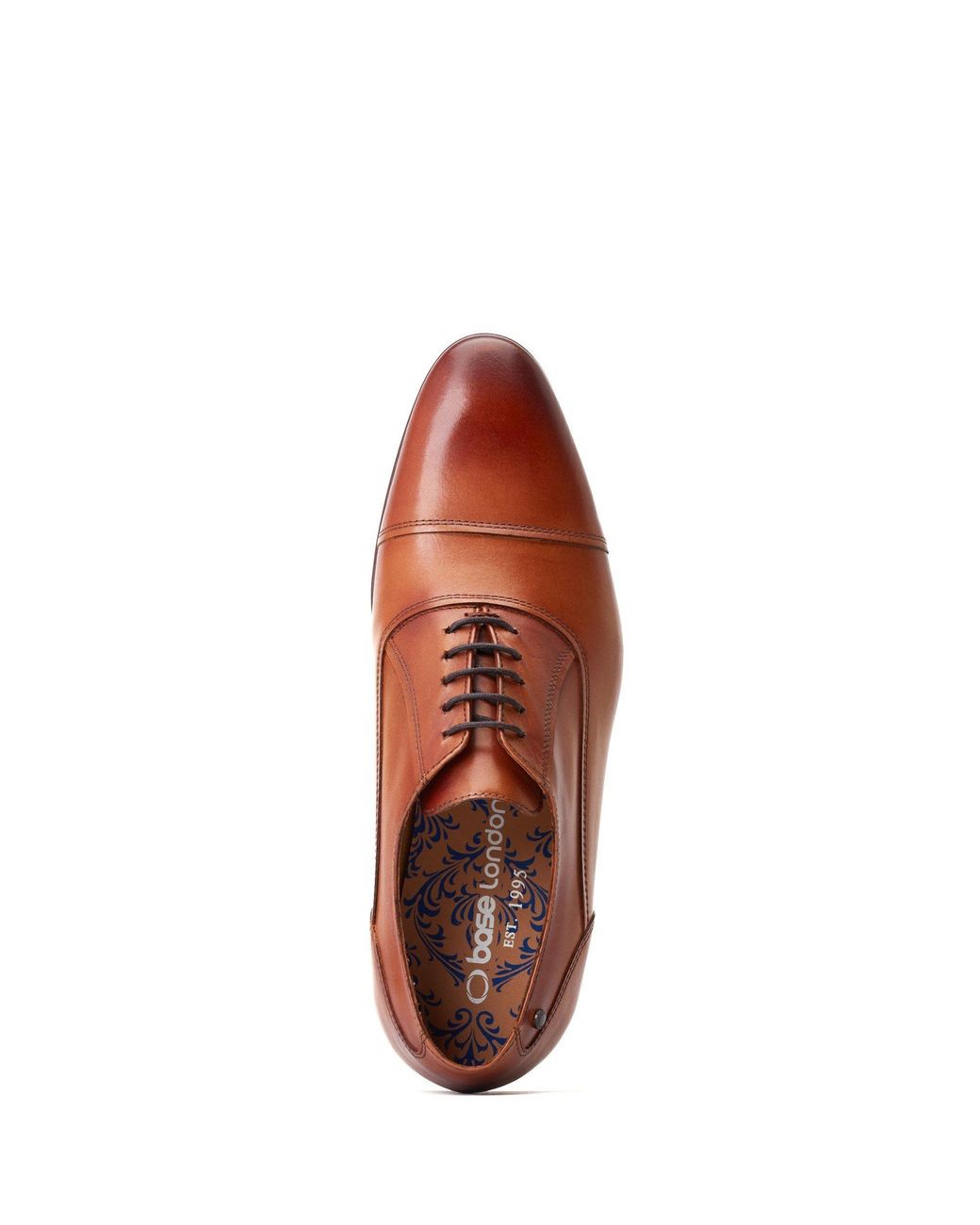 Base London Brown Angelo Derby for men