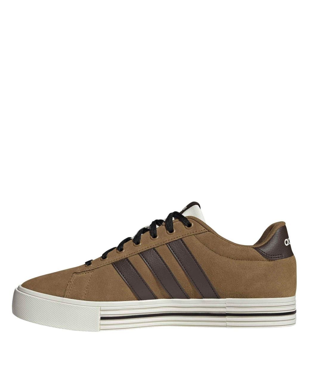 Adidas Brown Daily 4.0 Court Trainers for men