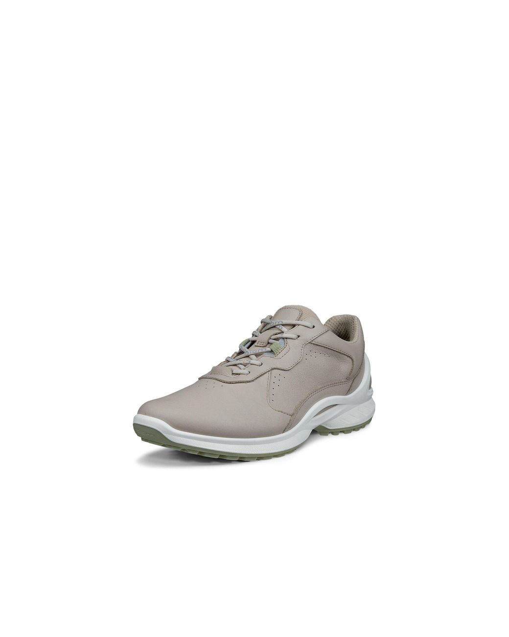 Ecco Gray Biom Energi
