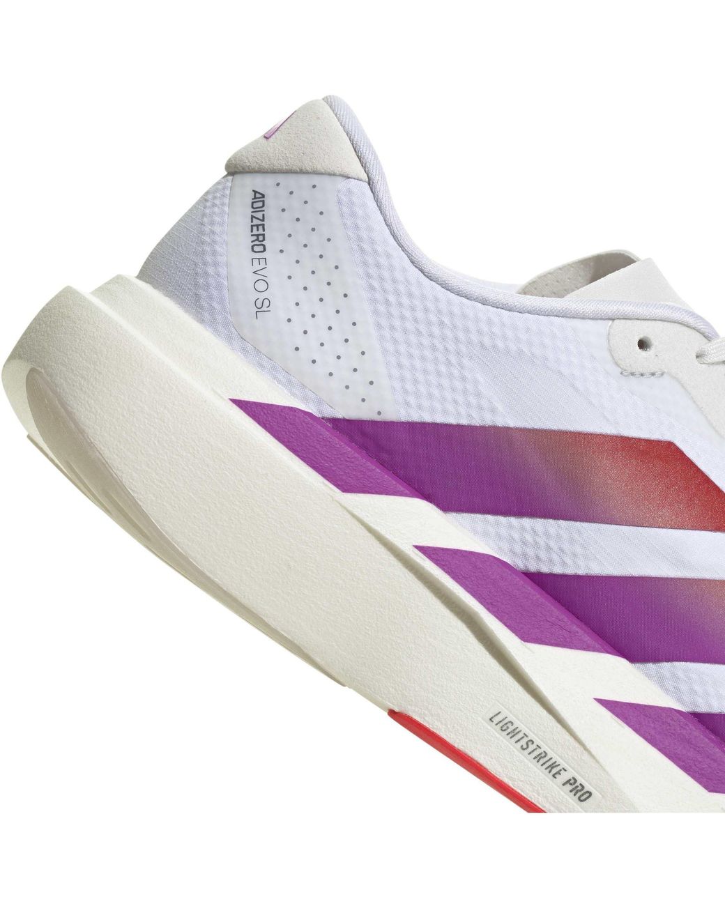 Adidas Purple Adizero Evo Sl Shoes for men