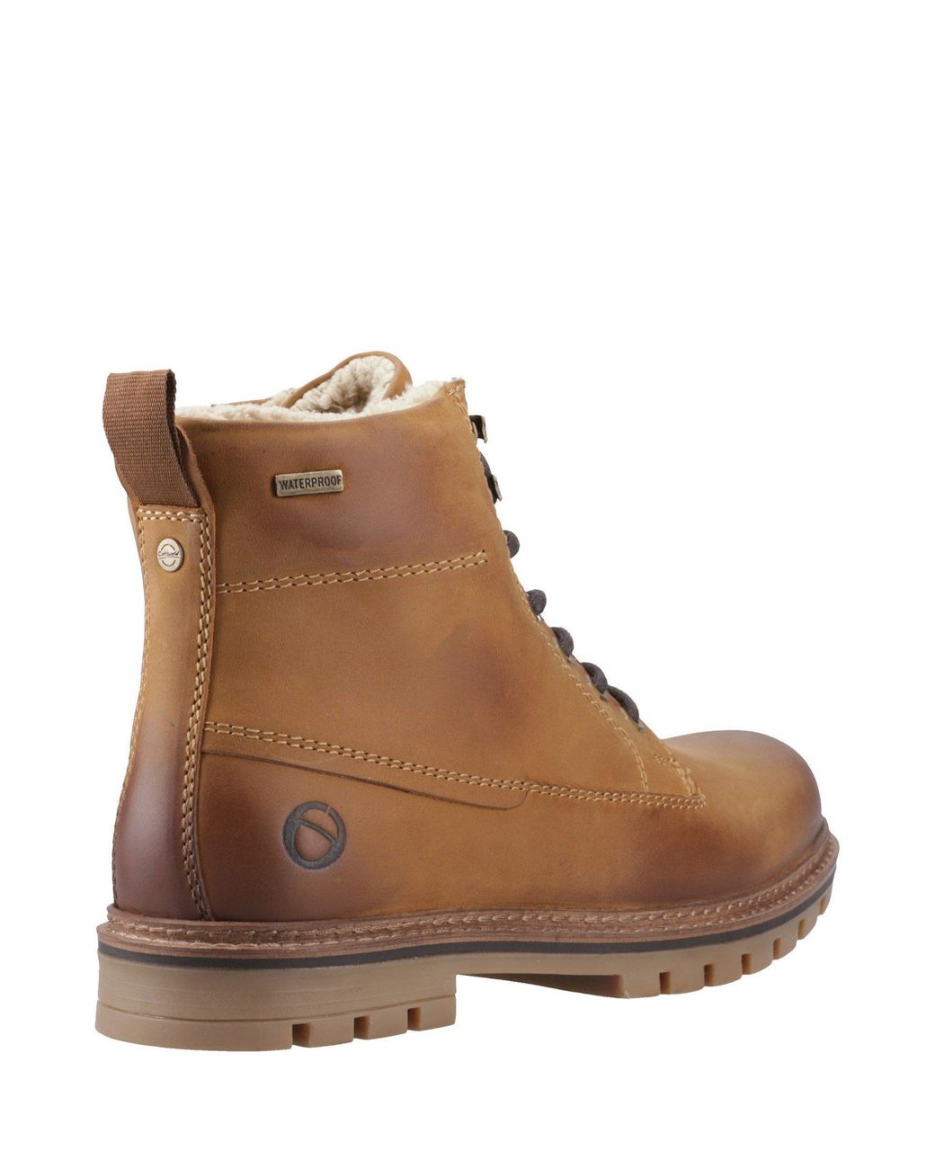 Cotswold Brown Clanfield Waterproof Leather Ankle Boots for men