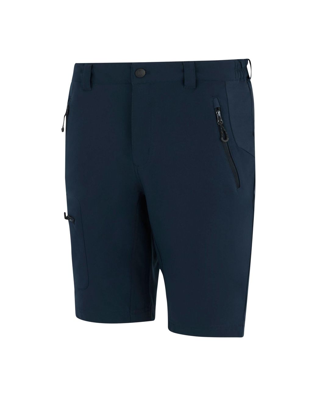 Regatta Blue Prolite Stretch Shorts for men