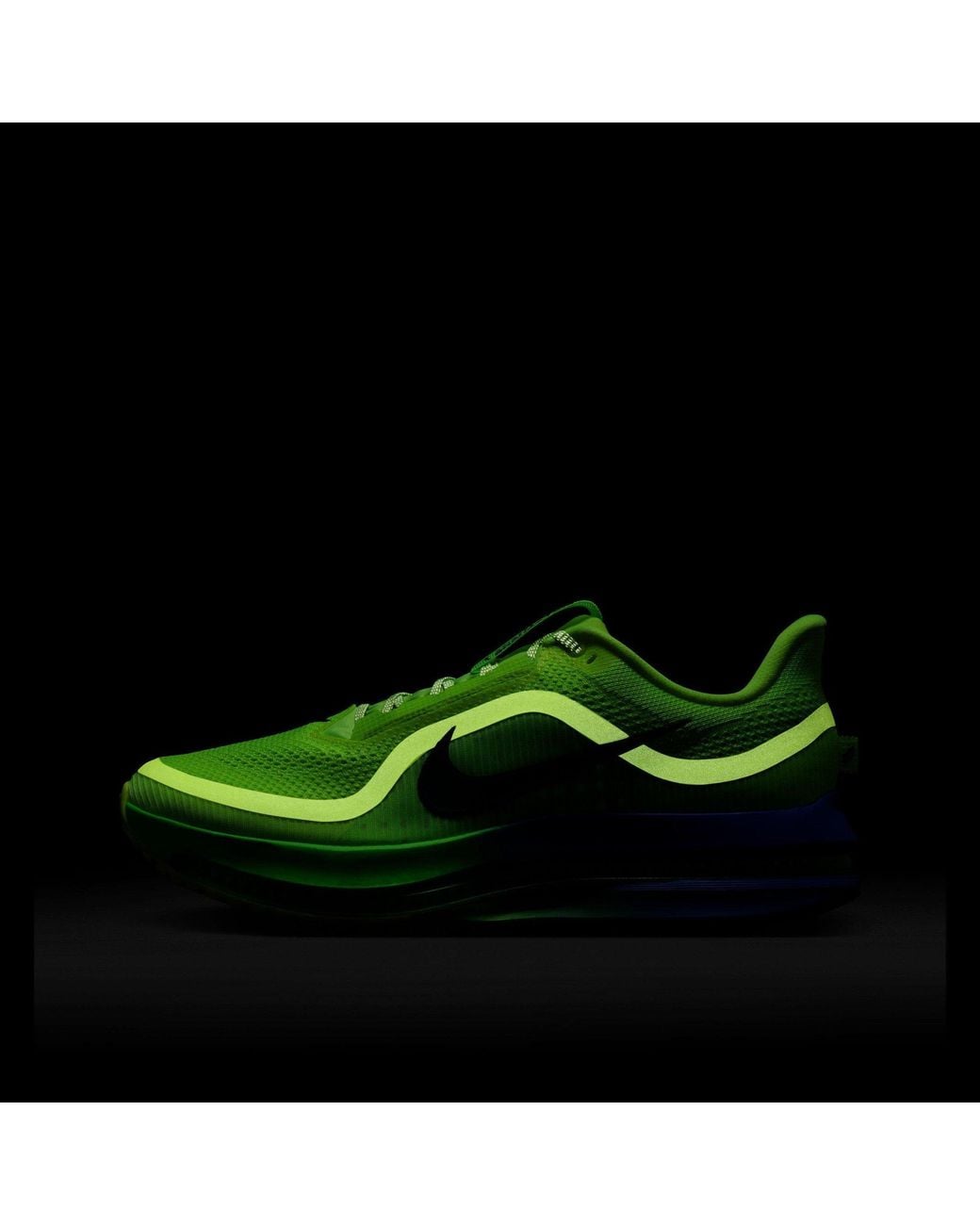 Nike Green Pegasus Premium Road Running Shoes for men