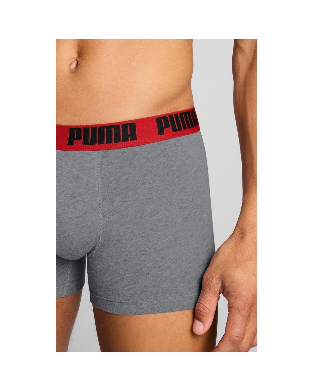 PUMA Gray Everyday Bs for men