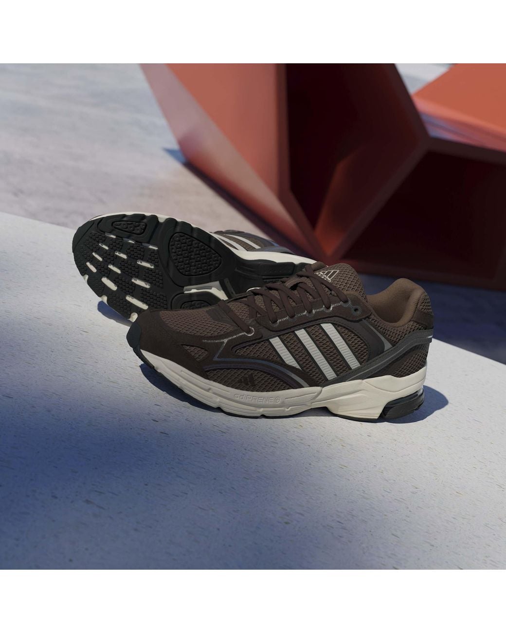 Adidas Brown Spiritain 2000 Trainers