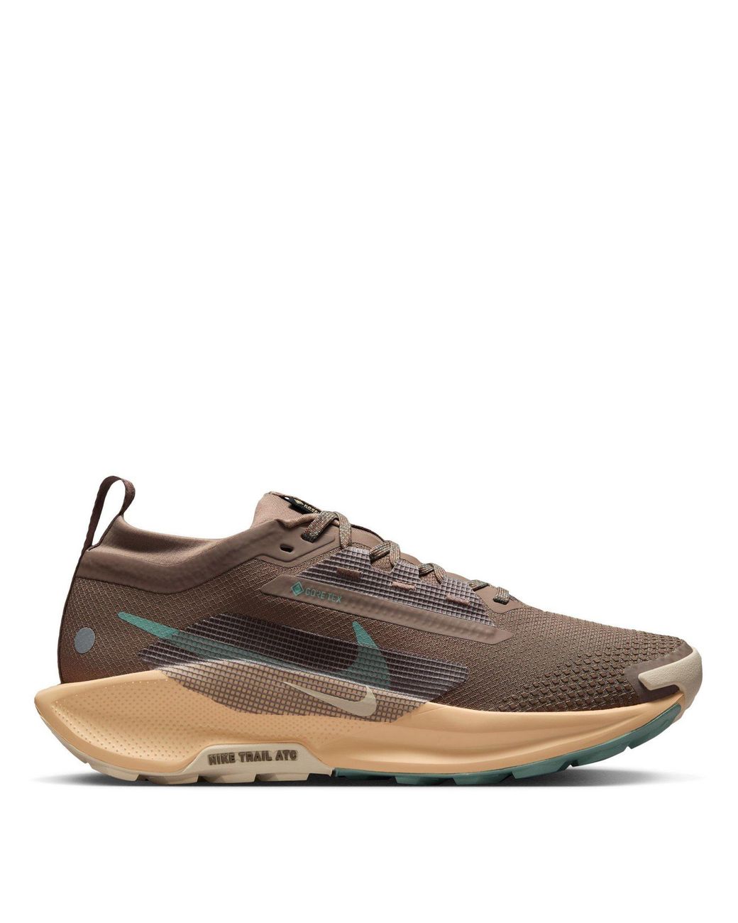 Nike Brown Pegasus Trail 5 Gore-Tex Running Shoes