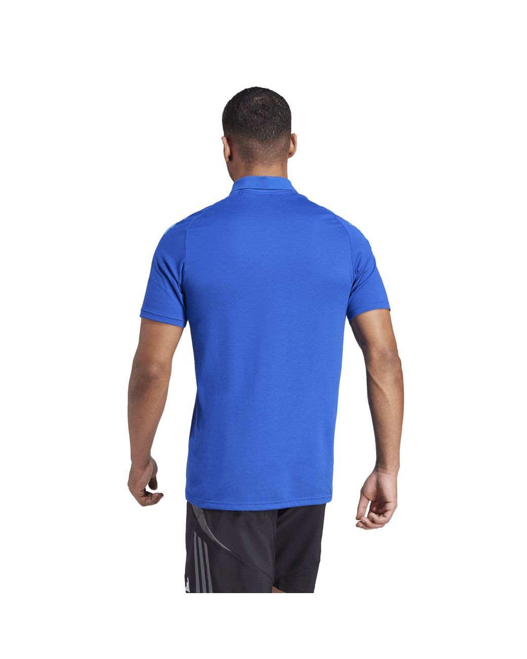 Adidas Blue Tiro24 C Polo Shirt for men