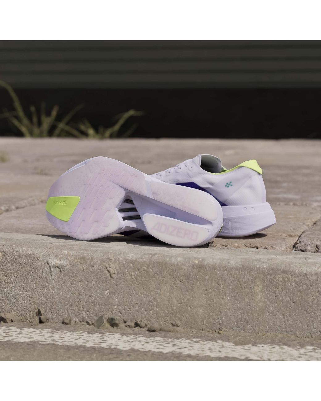 Adidas Purple Adios Pro 4 Road Running Shoes