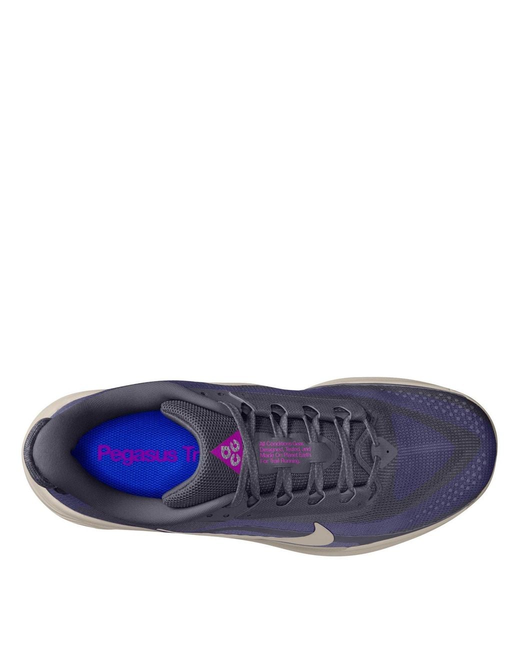 Nike Blue Pegaus 42S Running Shoes for men
