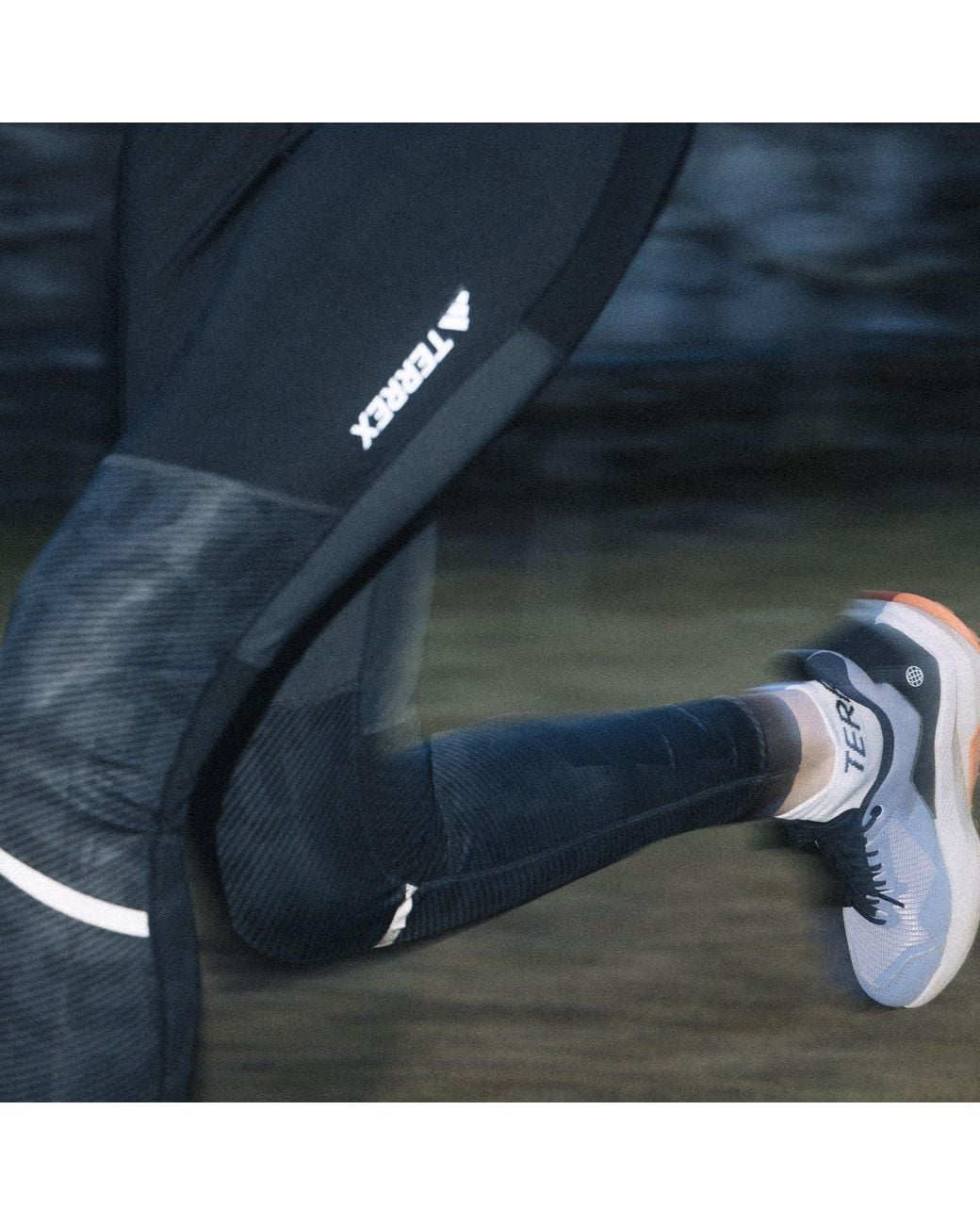 Adidas Blue Terrex Trail Ride Gore Tex Trainers