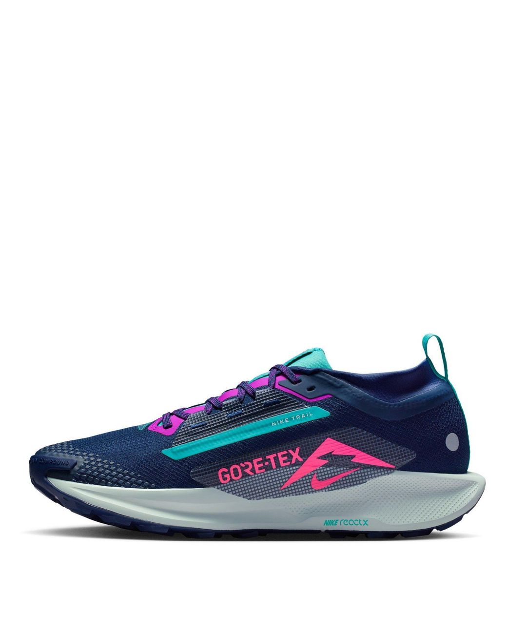 Nike Blue Pegasus Trail 5 Gore-Tex Waterproof Trail Running Shoes for men