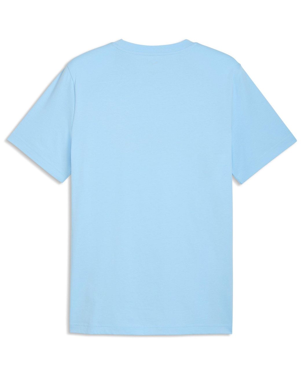 PUMA Blue Regular Fit T-Shirt for men