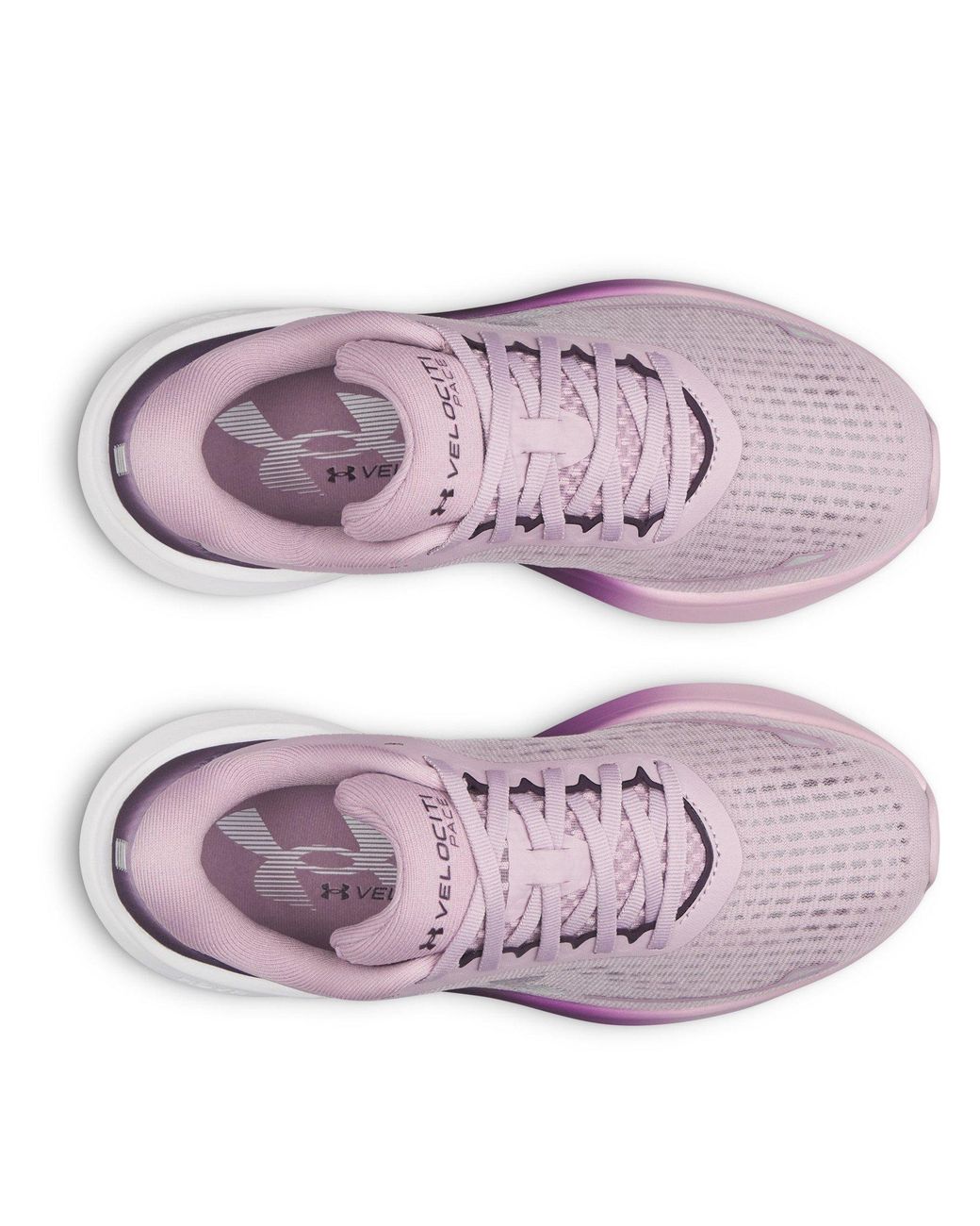 Under Armour Purple Ua W Velociti Pace