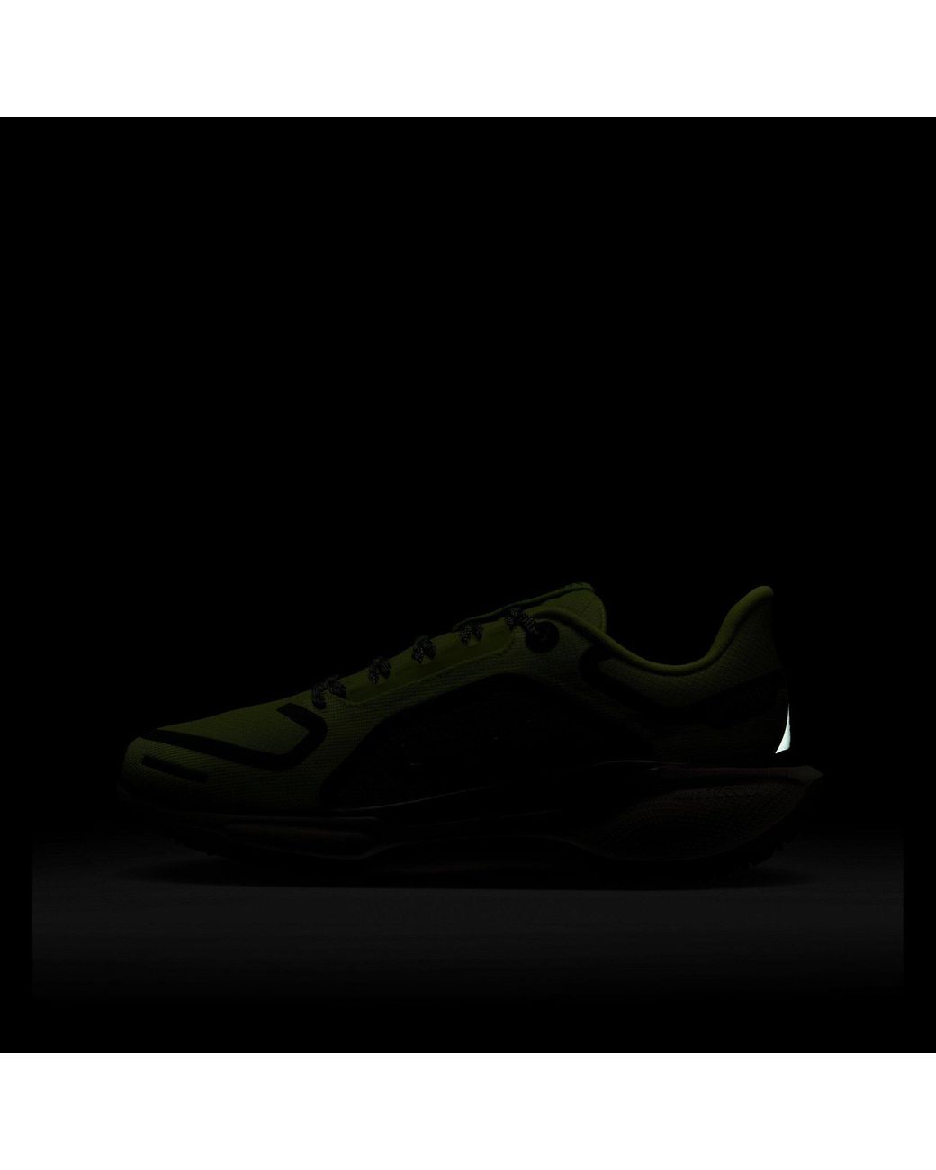Nike Green Pegasus 41 Gore-Tex Waterproof Road Running Shoes