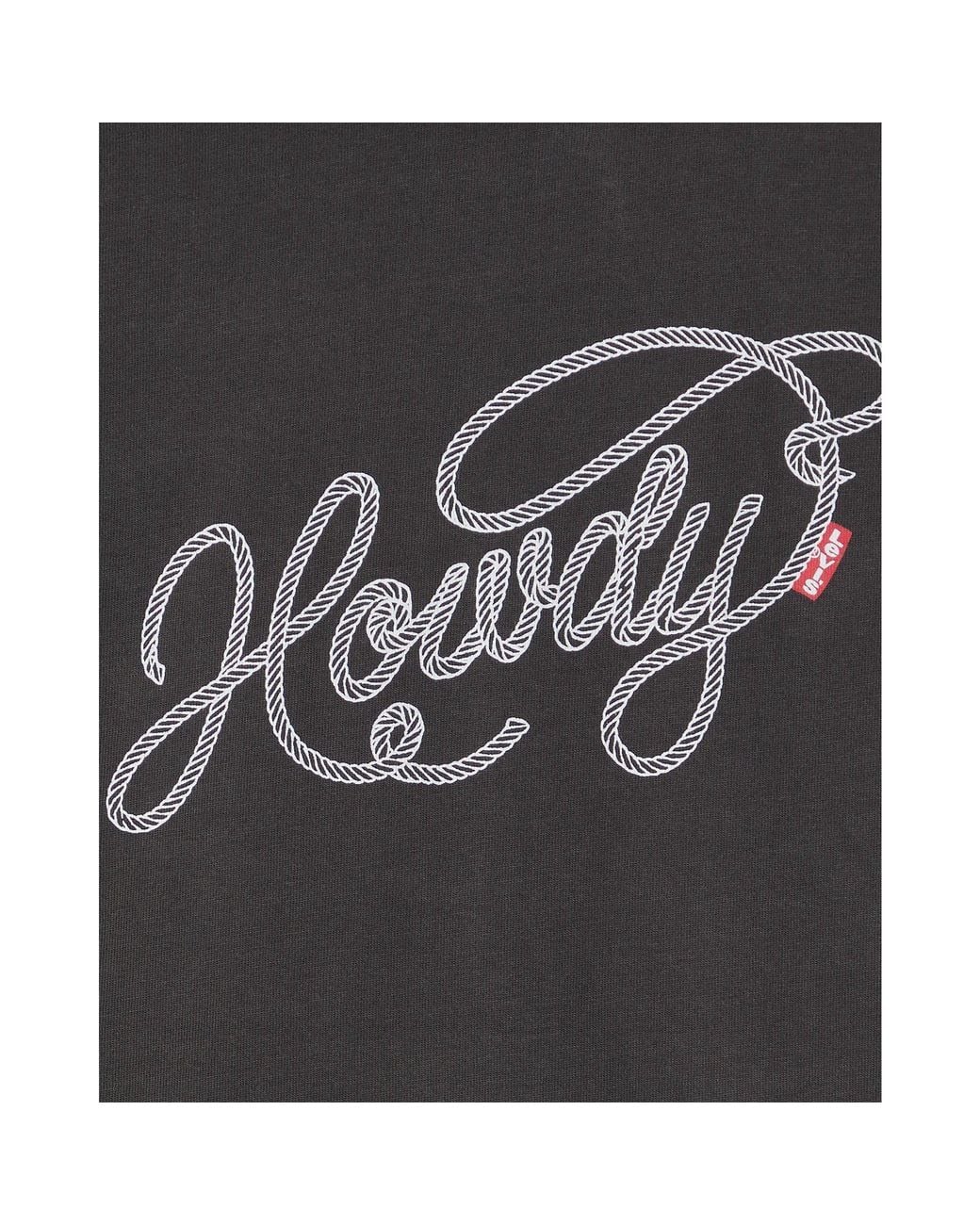 Levi's Black Levi's Oversized T-Shirt