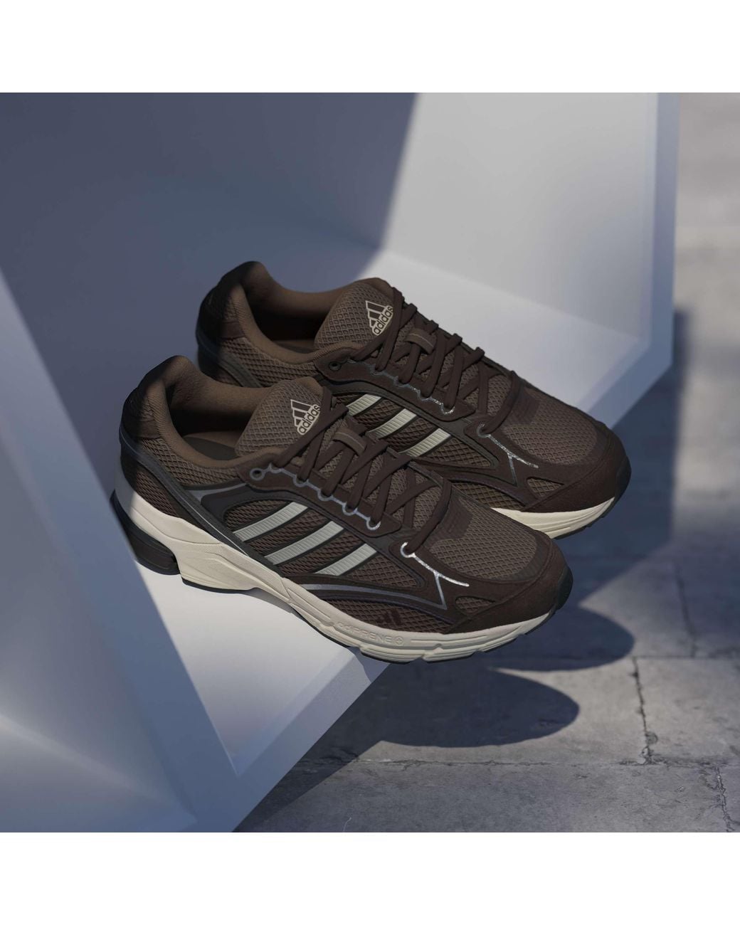 Adidas Brown Spiritain 2000 Trainers