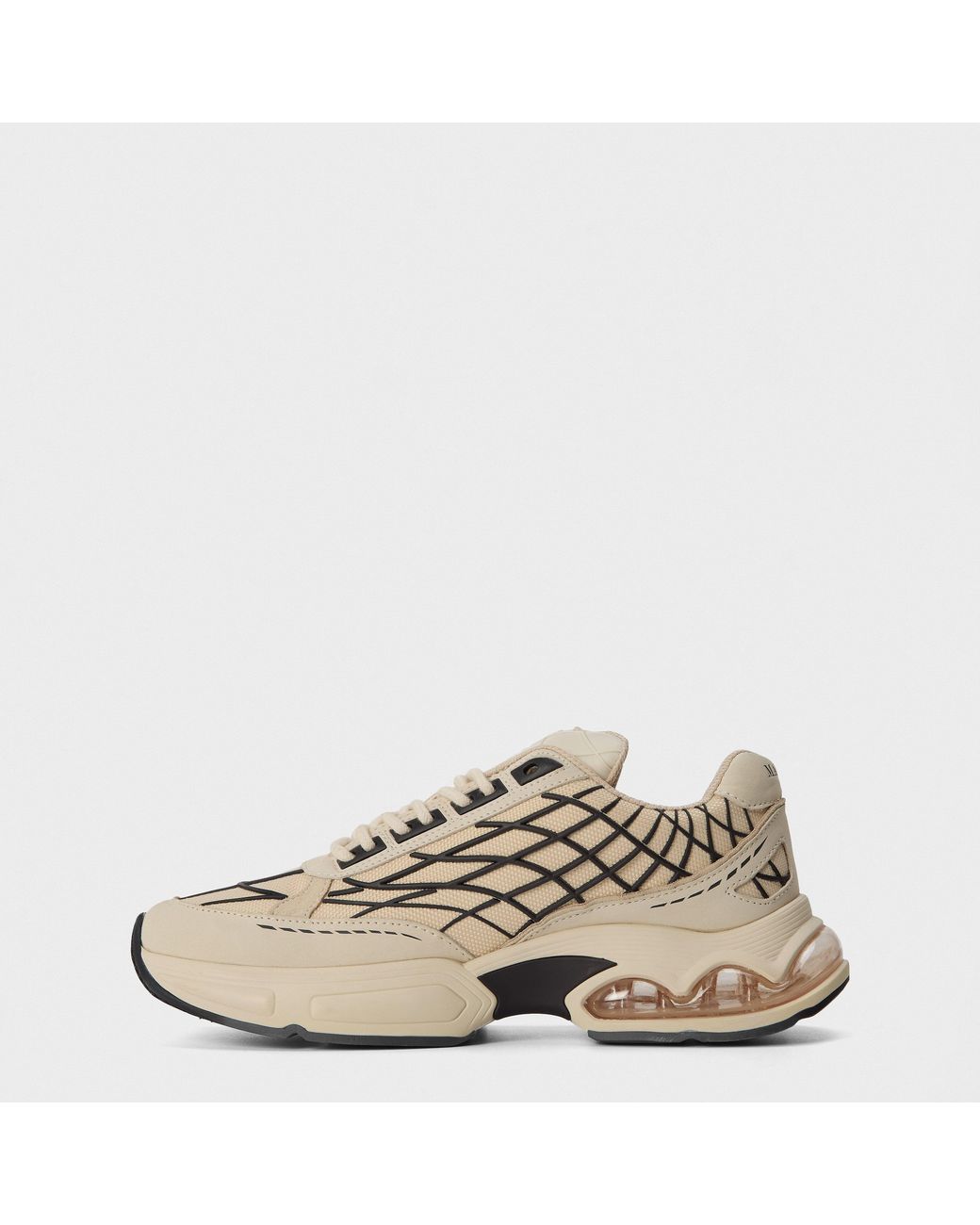 Mallet Natural Neptune Trainer