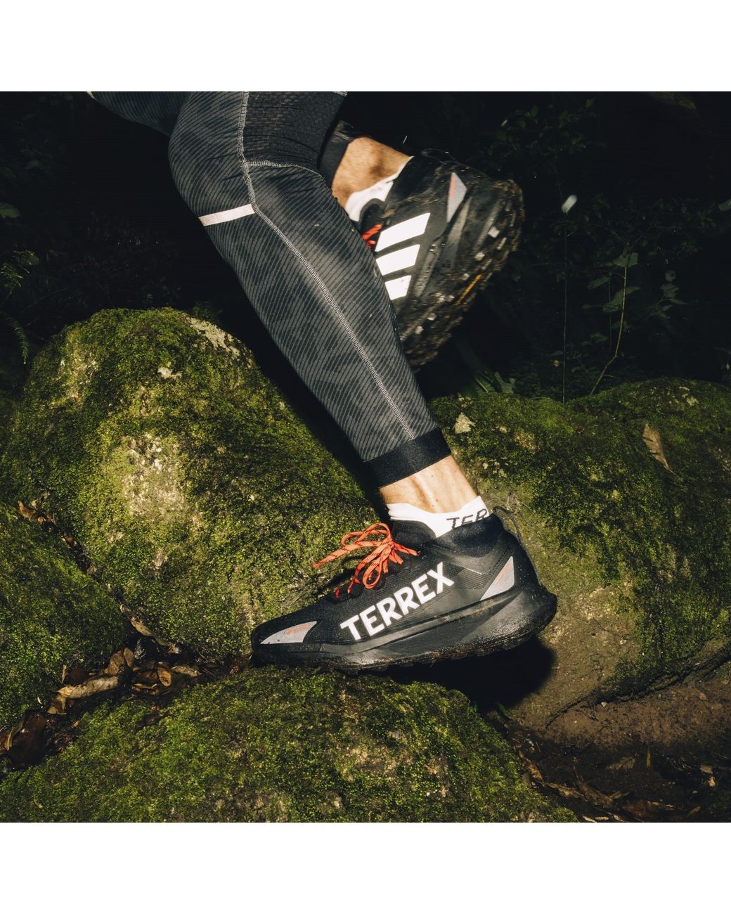 Adidas Blue Agravic Gore-Tex Trail Running Shoes for men