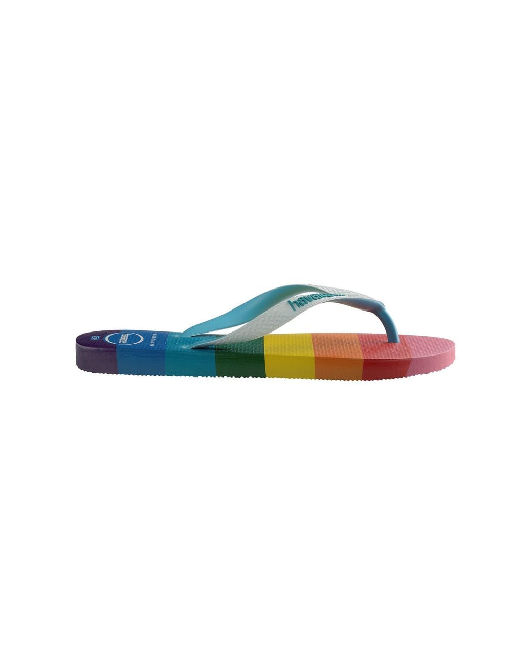 Havaianas Blue Flip Flops