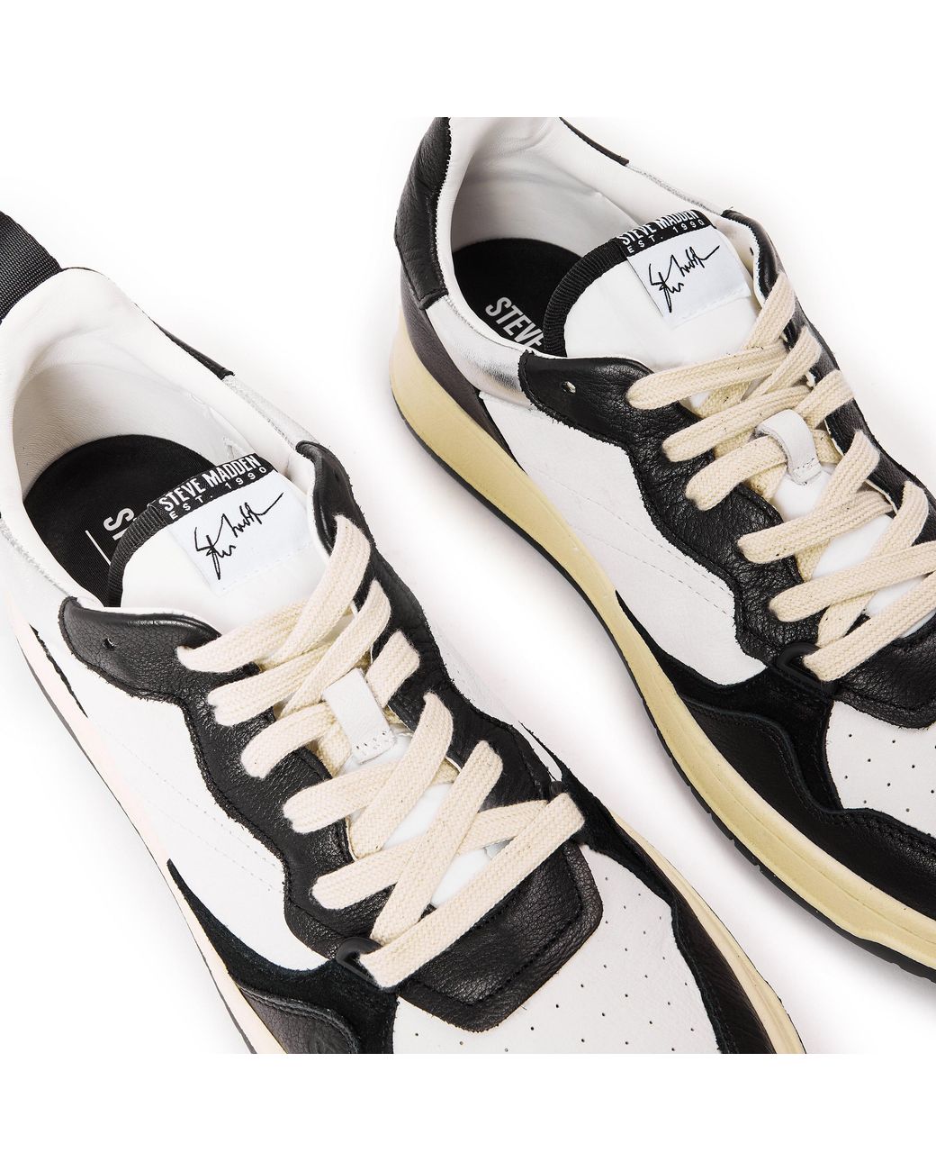 Steve Madden Black Easton Low Top Trainers for men