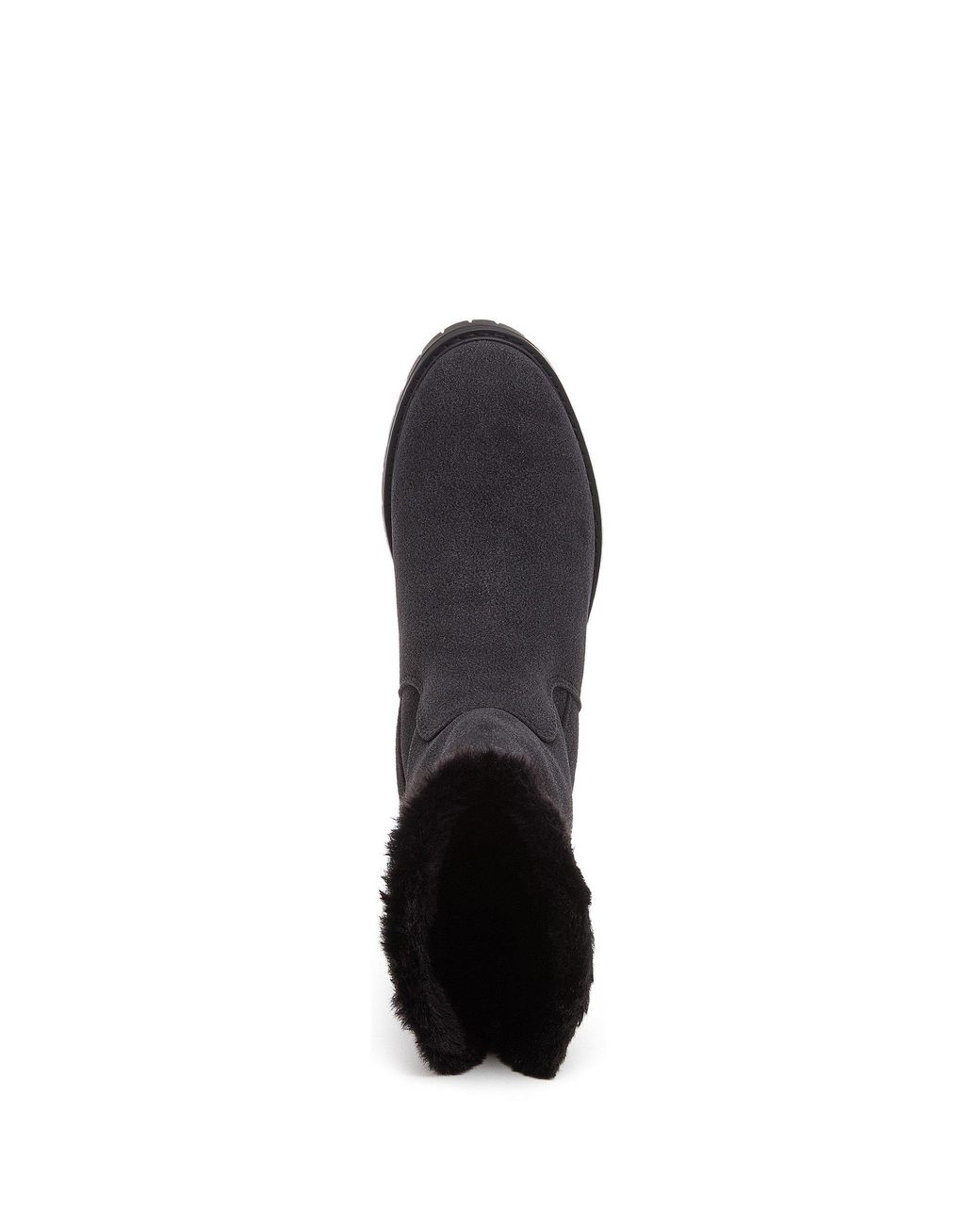 Rocket Dog Black Niche Aurora